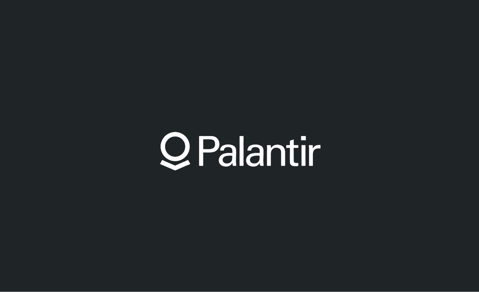 Palantir project preview